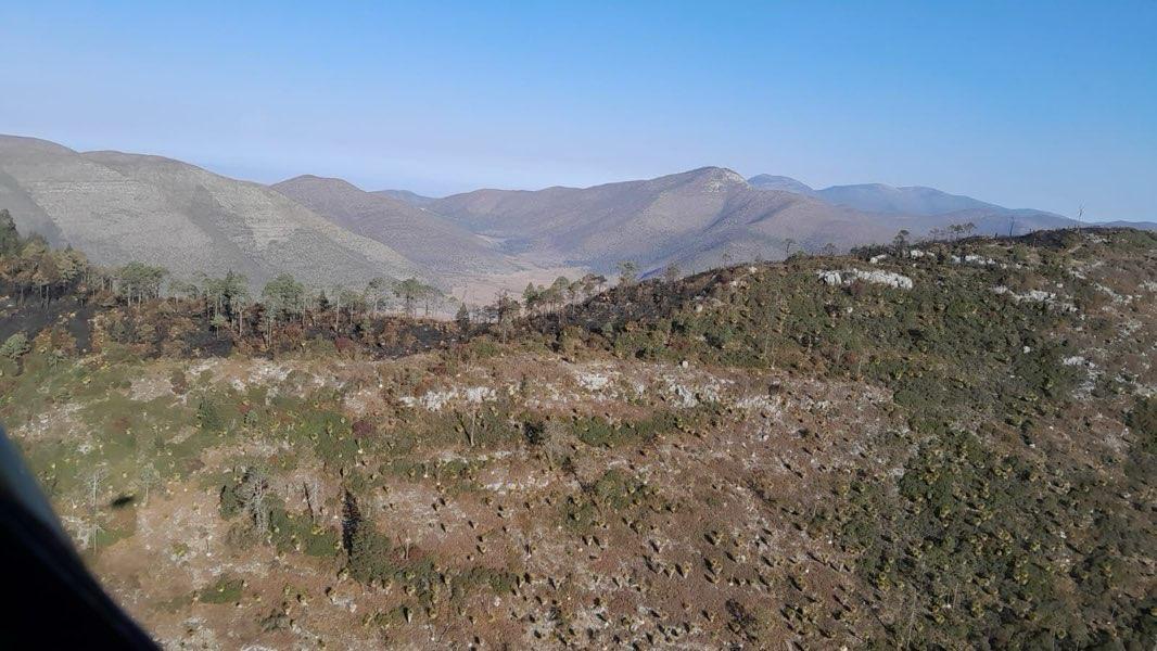 Controlado incendio forestal “Puerto del Volcán” en Miquihuana