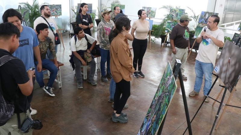 Reúne TAMUX a familias y estudiantes en experiencia de avistamiento de aves