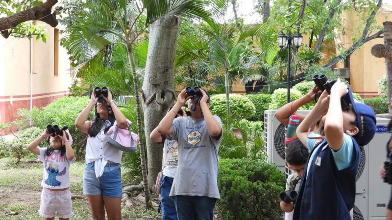 Invitan a pajareada y exposición fotográfica en el Museo TAMUX
